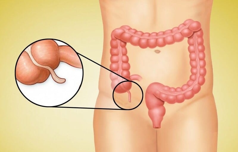 APPENDIX doctor in Islamabad